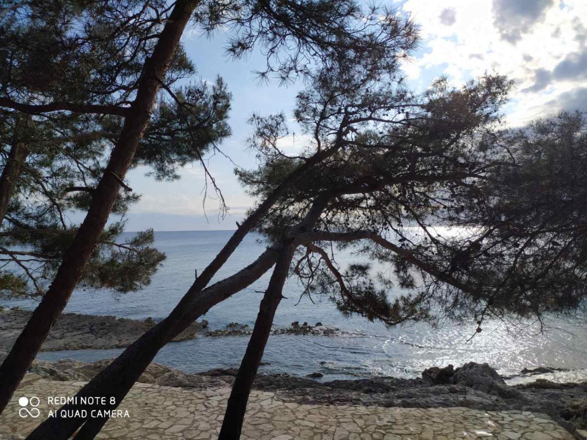 Apartments Marlen Mali Losinj Exterior photo